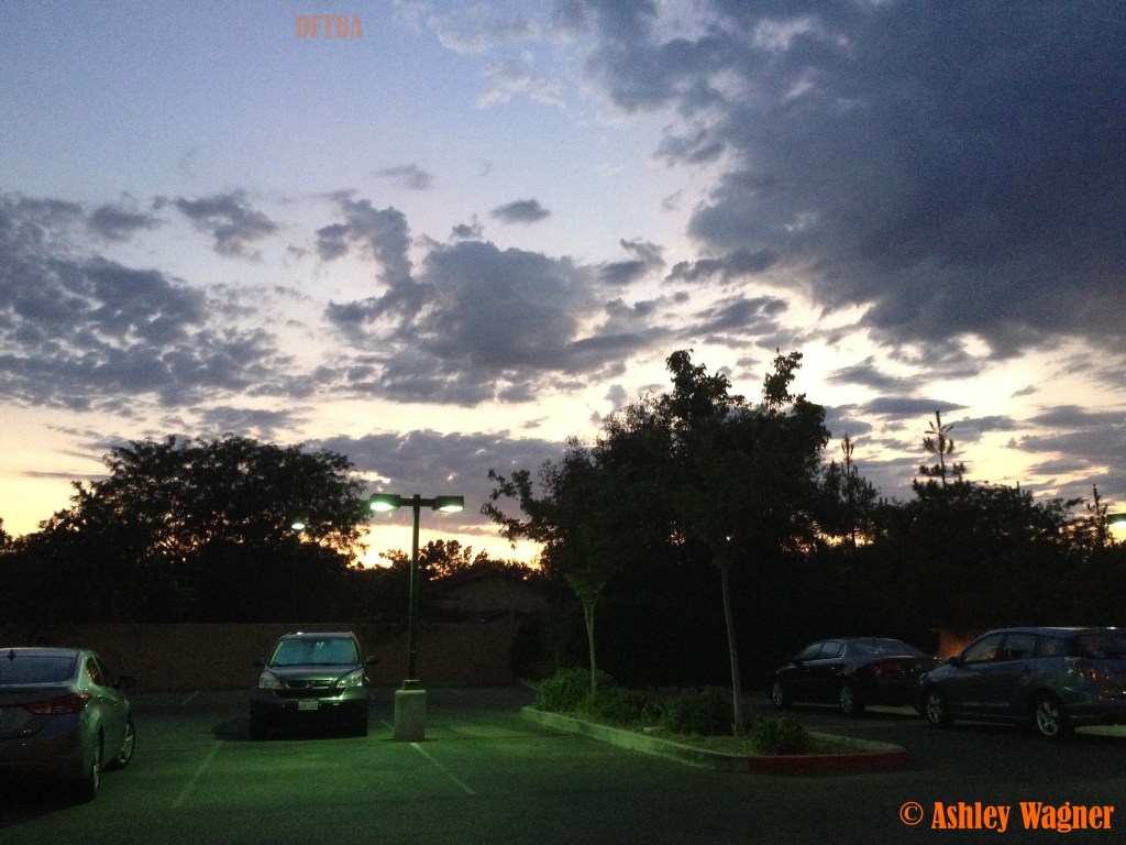 Photo Jul 30, 8 39 48 PM