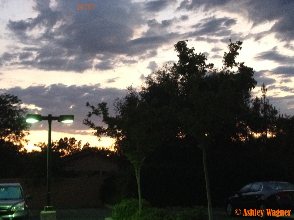 Photo Jul 30, 8 39 55 PM