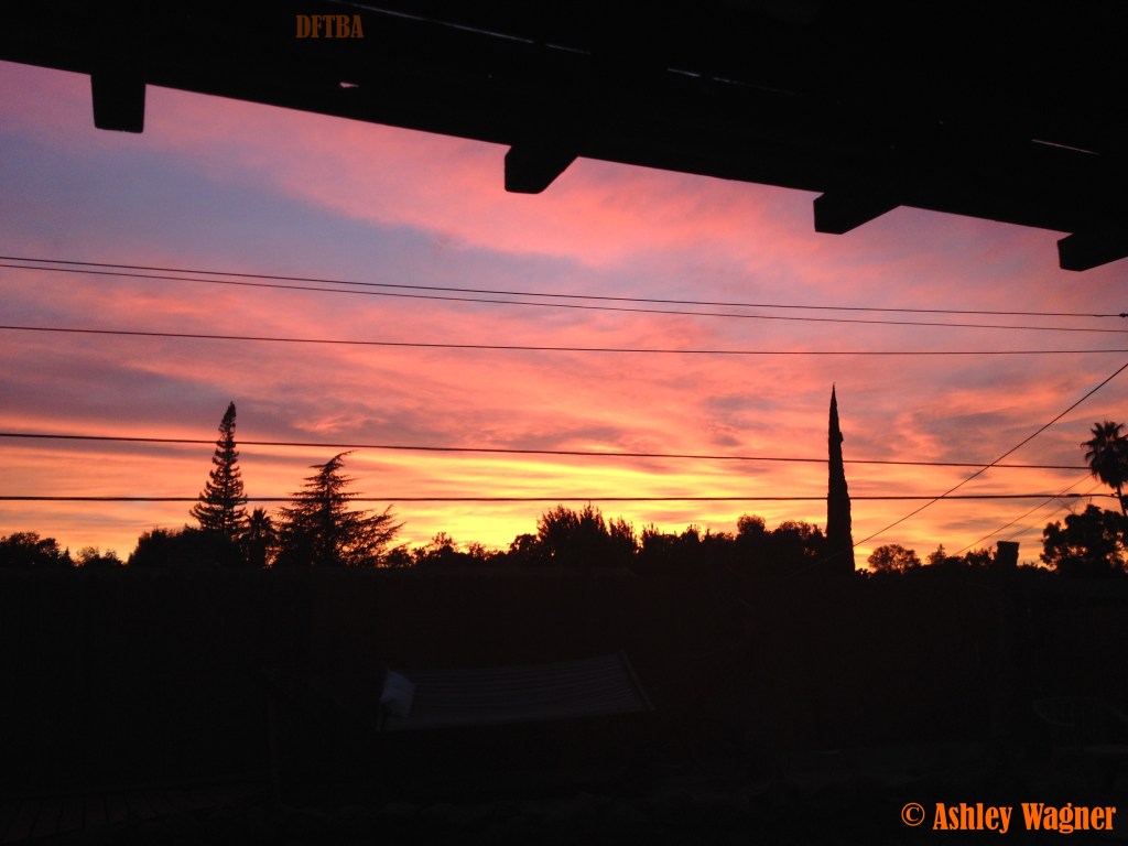 Photo Aug 03, 8 25 28 PM