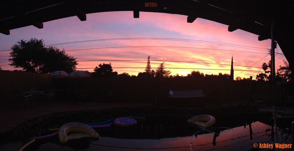 Photo Aug 03, 8 25 57 PM