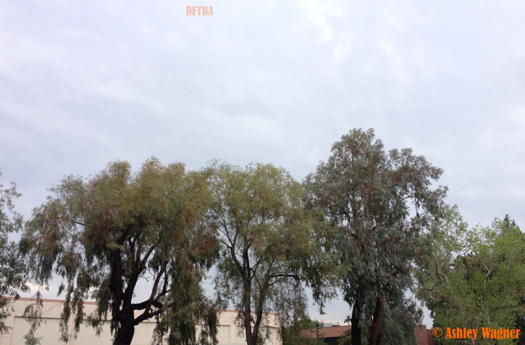 Photo Aug 05, 4 31 43 PM