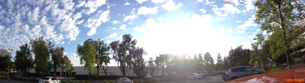 Photo Aug 11, 7 46 40 AM