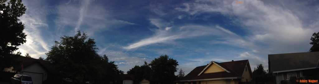 Photo Aug 29, 7 19 25 AM