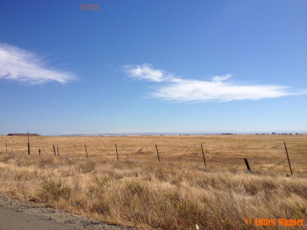 Photo Aug 30, 10 11 44 AM