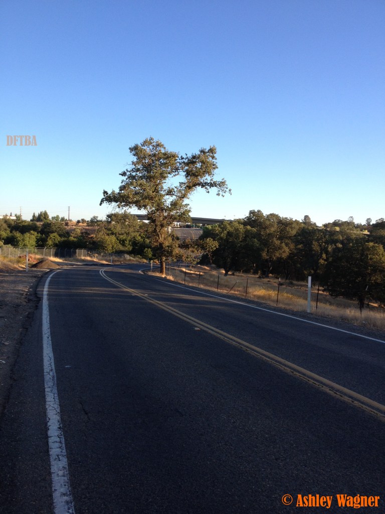 Photo Aug 30, 7 19 27 AM