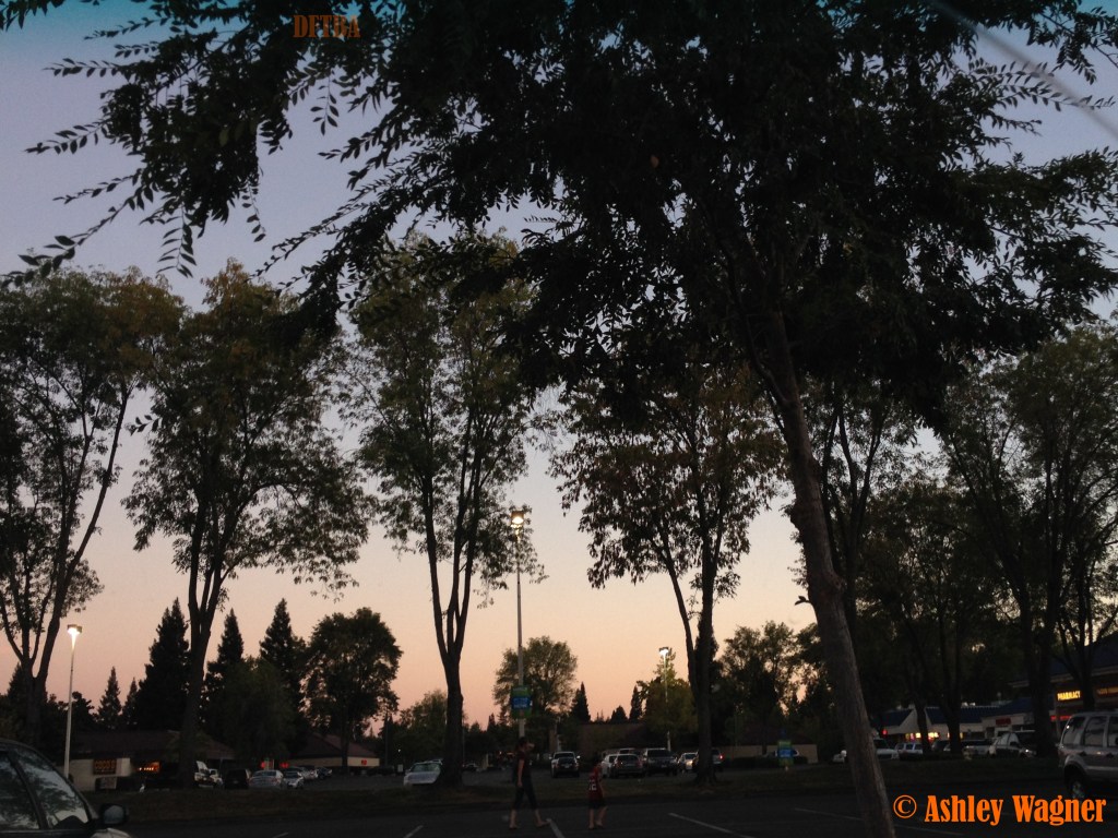 Photo Aug 30, 7 43 26 PM