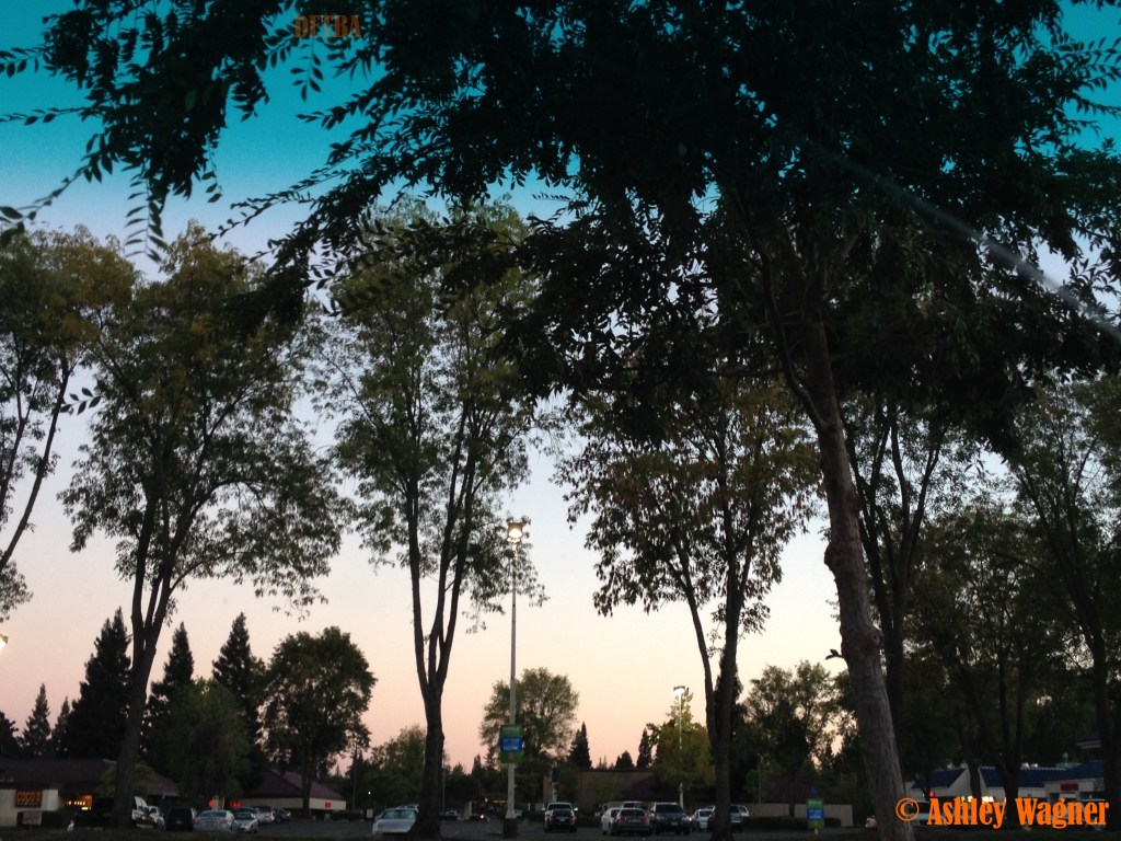 Photo Aug 30, 7 43 58 PM