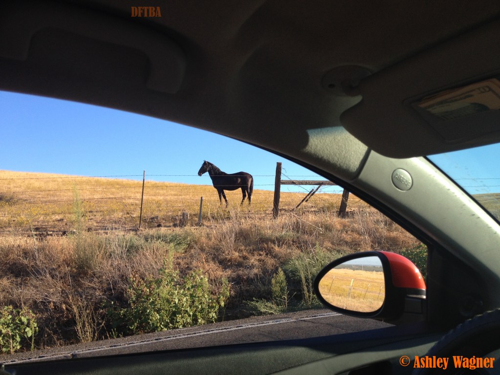 Photo Aug 30, 7 46 18 AM