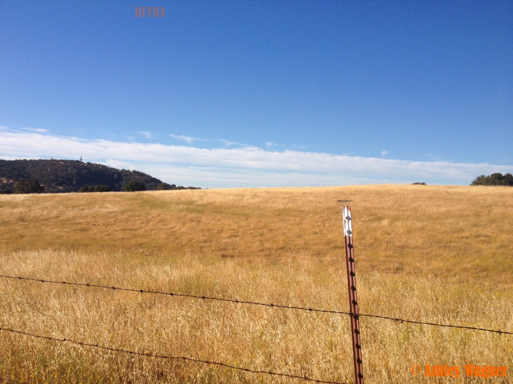 Photo Aug 30, 8 17 11 AM