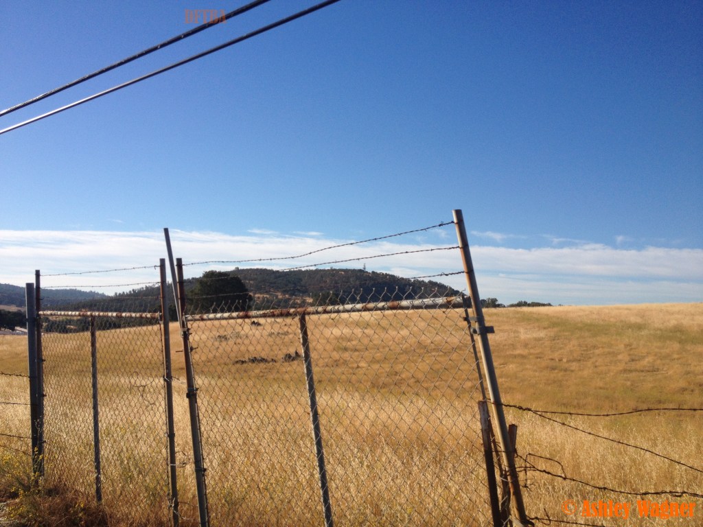 Photo Aug 30, 8 17 13 AM