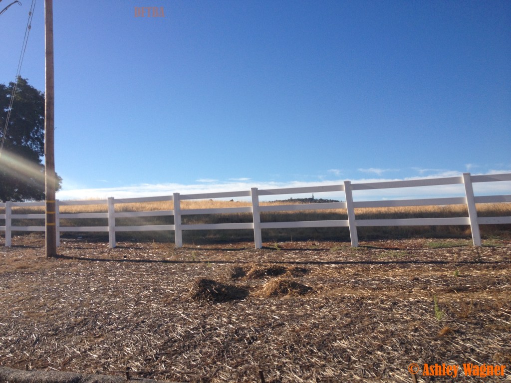 Photo Aug 30, 8 17 27 AM