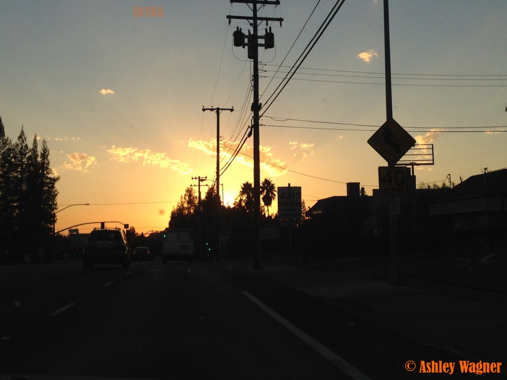 Photo Sep 14, 7 03 53 PM