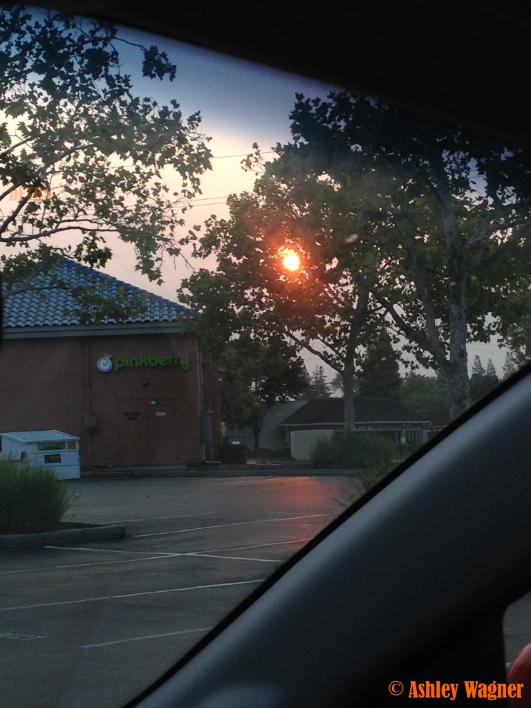 Photo Sep 19, 7 30 12 AM