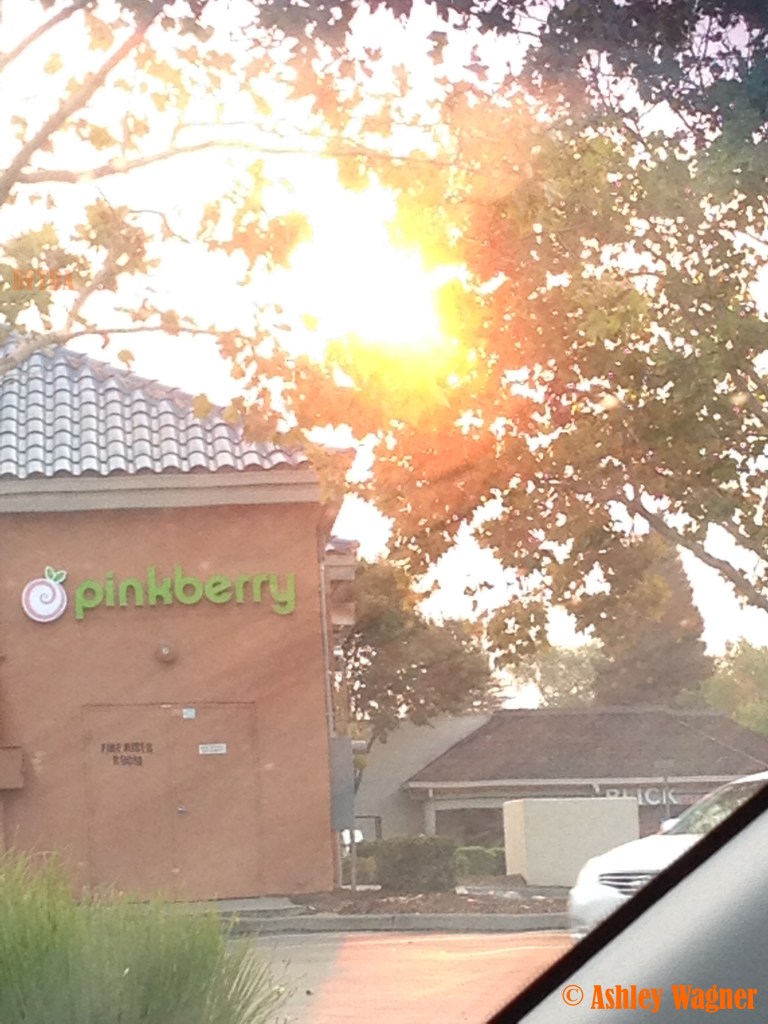 Photo Sep 19, 7 31 55 AM