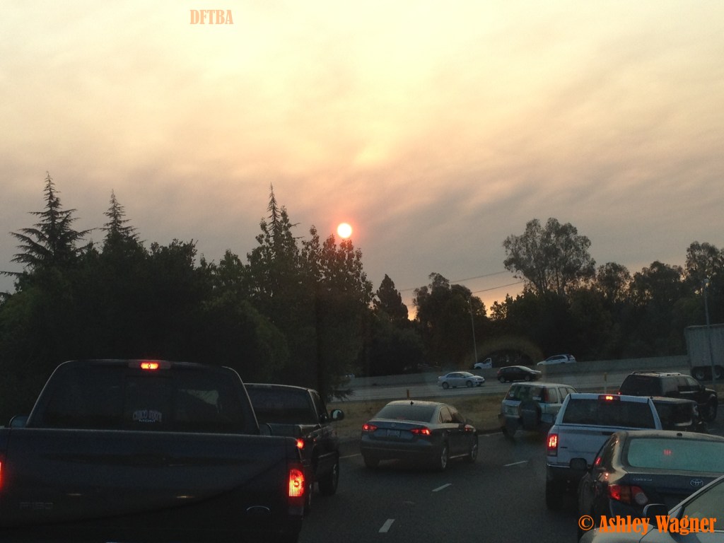 Photo Sep 22, 7 24 41 AM