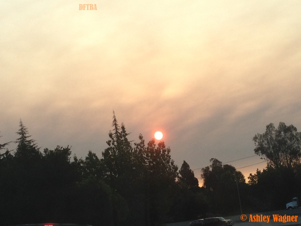 Photo Sep 22, 7 24 47 AM