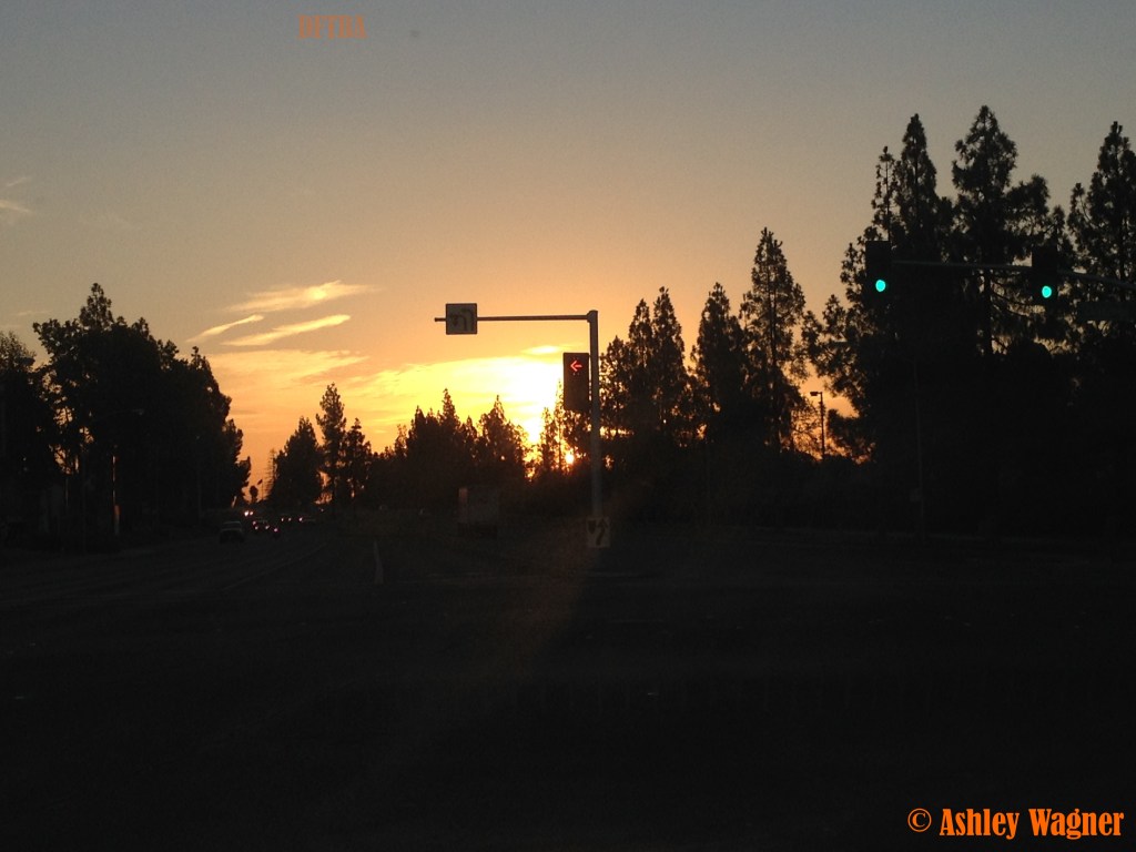 Photo Sep 23, 7 05 51 AM