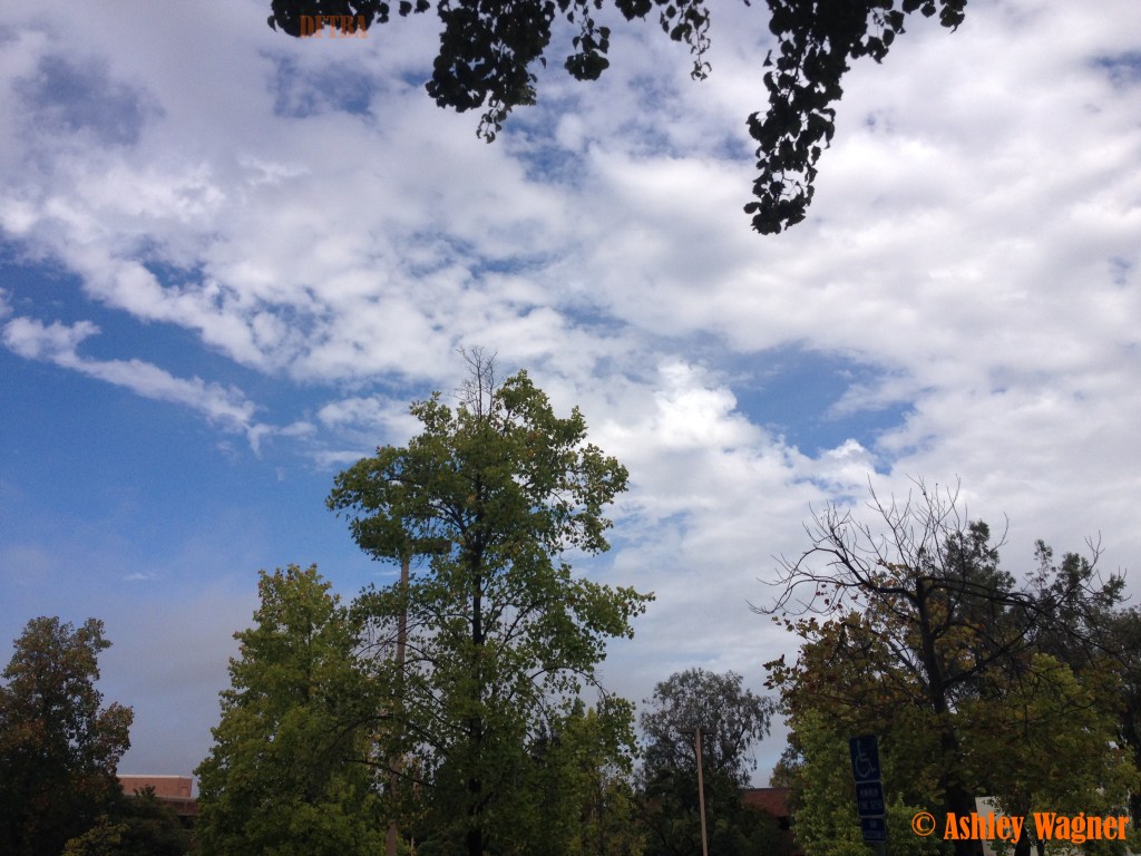 Photo Sep 25, 11 34 51 AM