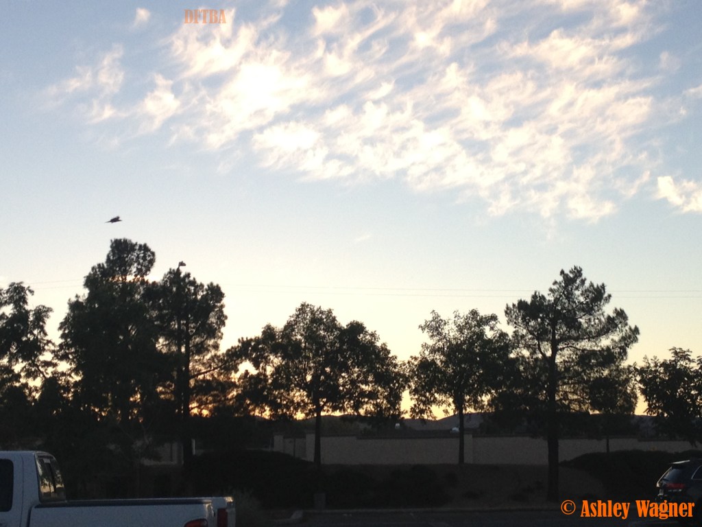 Photo Oct 04, 6 27 32 PM