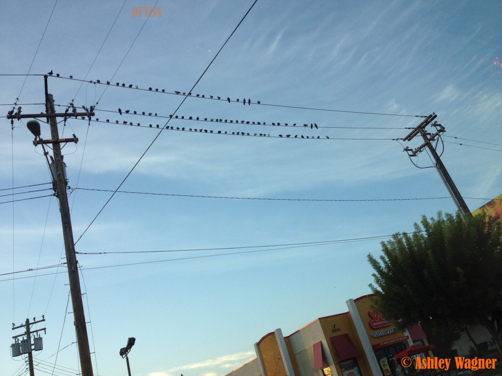 Photo Oct 14, 7 30 42 AM