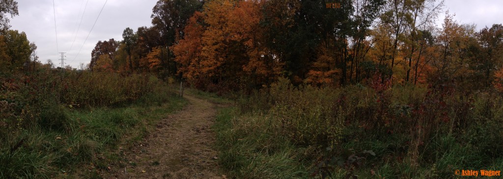 Photo Oct 19, 11 45 54 AM