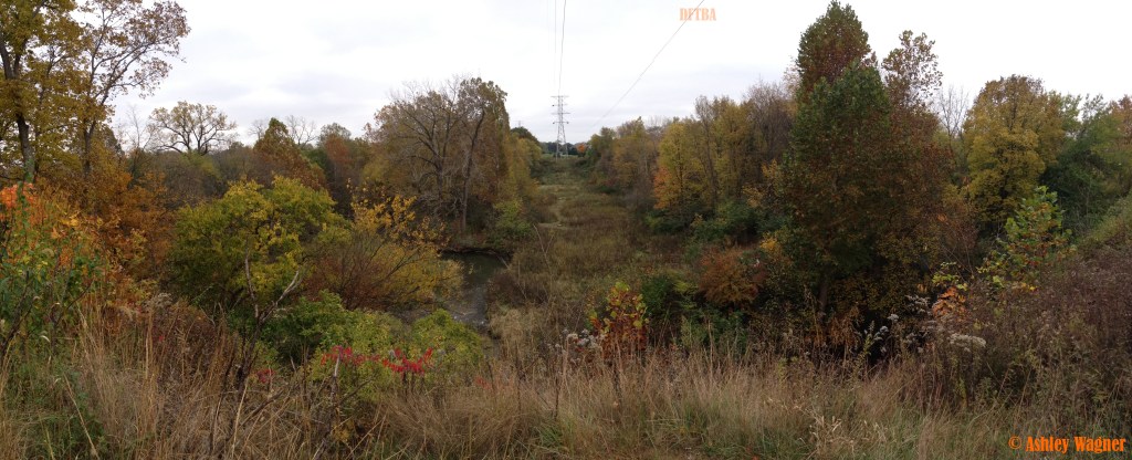 Photo Oct 19, 11 50 58 AM