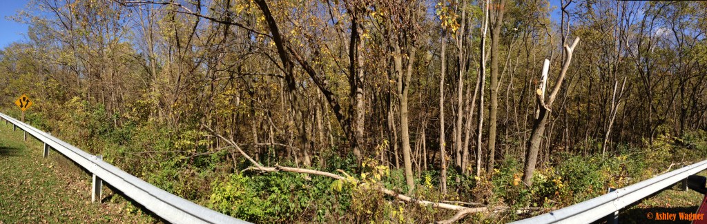 Photo Oct 20, 12 37 31 PM