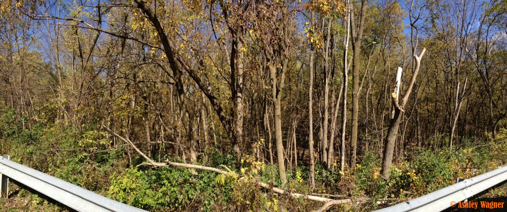 Photo Oct 20, 12 37 39 PM