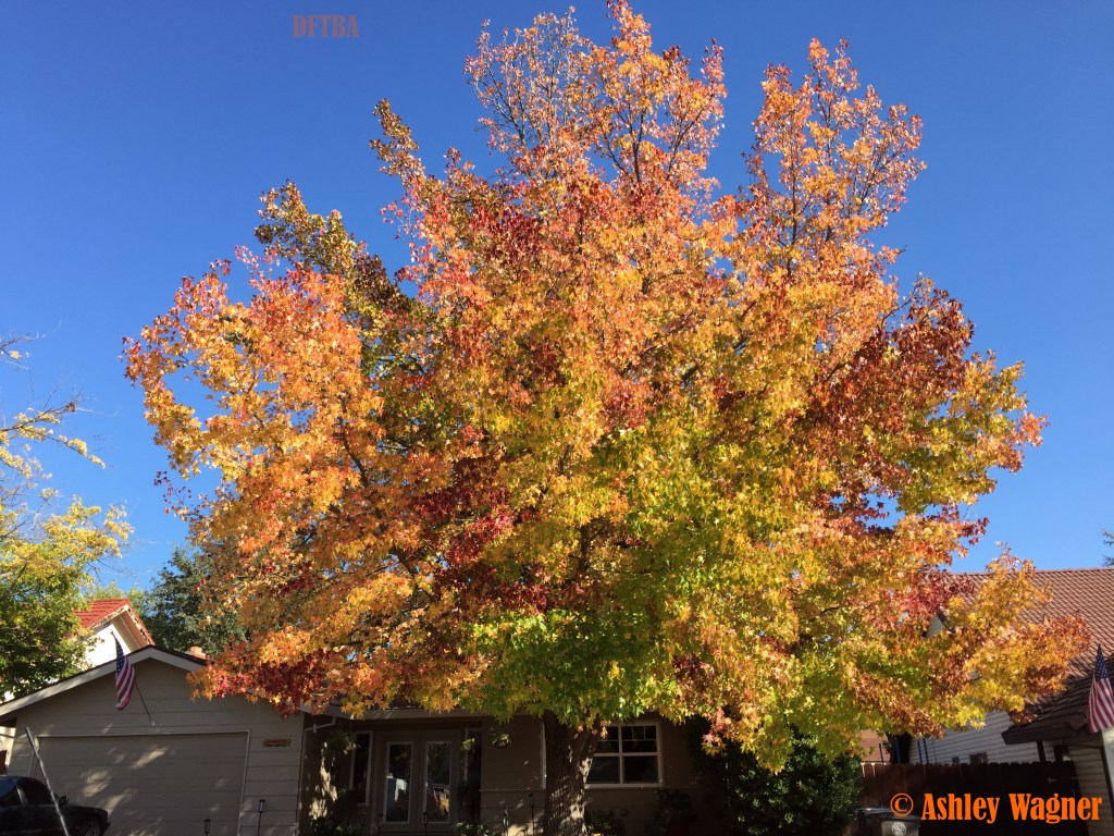 Photo Nov 07, 1 21 44 PM