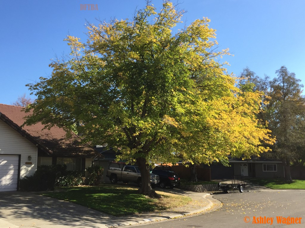 Photo Nov 07, 1 21 55 PM