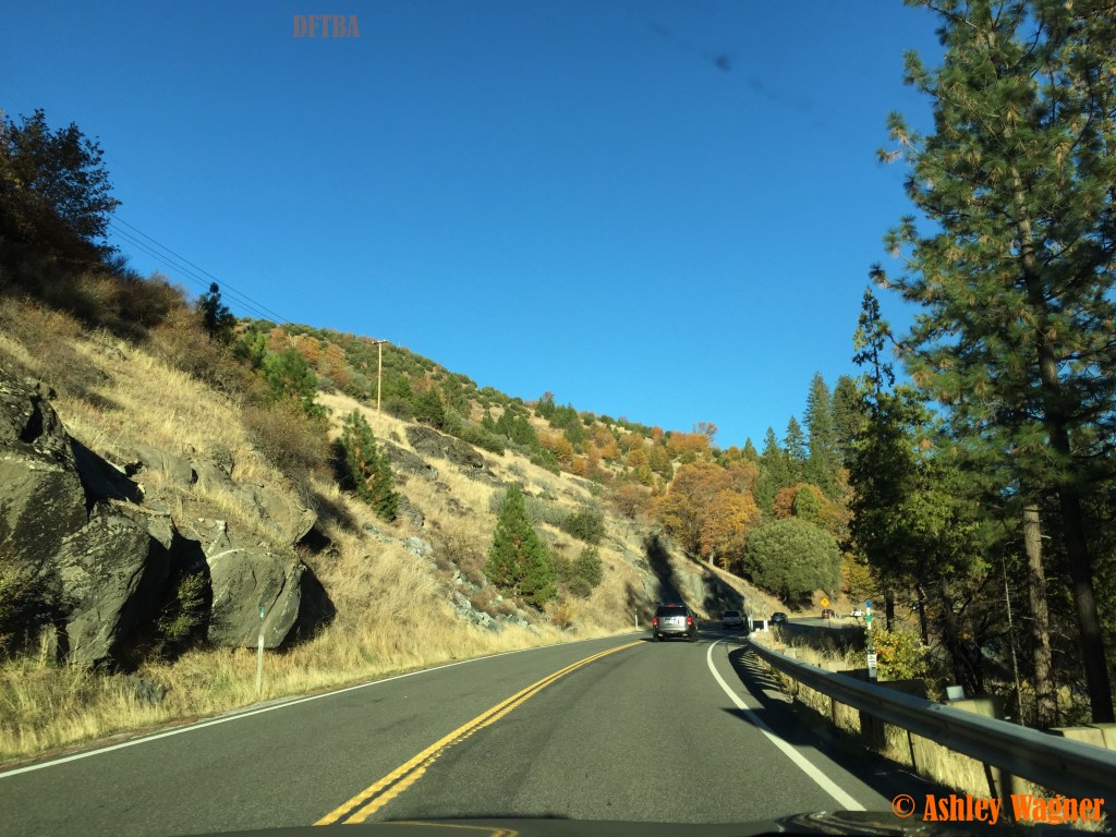 Photo Nov 07, 3 43 04 PM