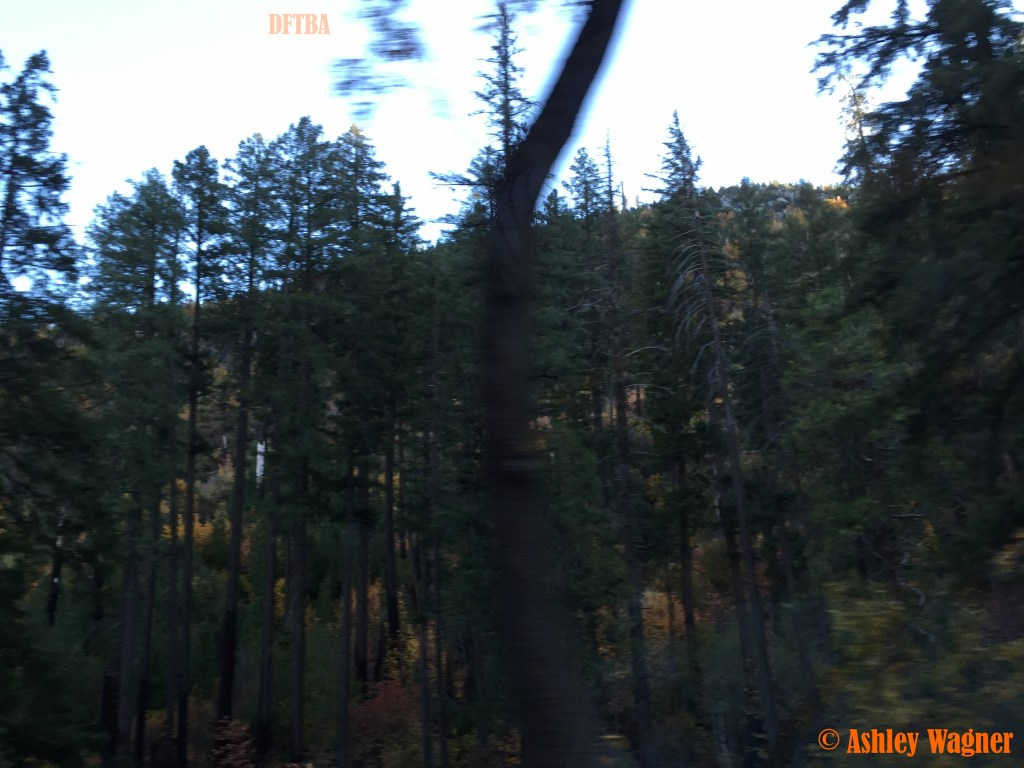 Photo Nov 07, 3 43 24 PM