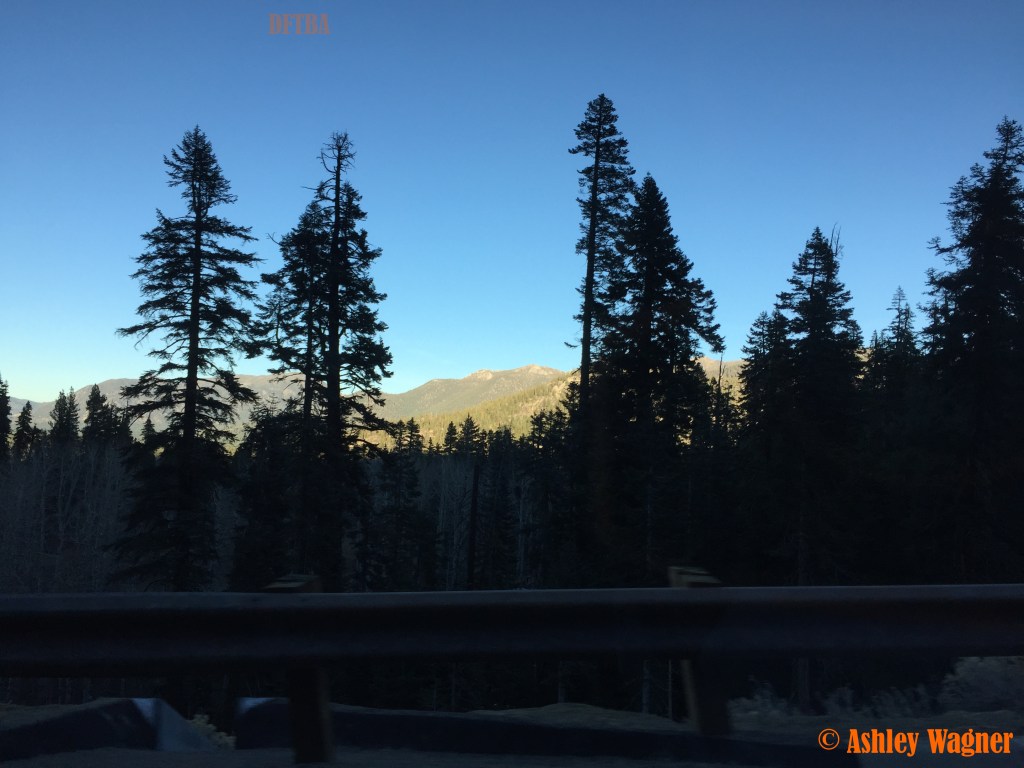 Photo Nov 07, 4 13 15 PM