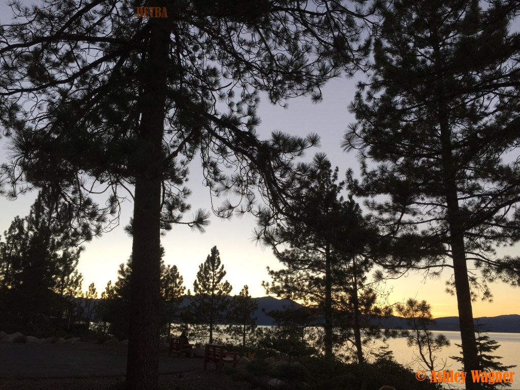 Photo Nov 07, 4 58 22 PM