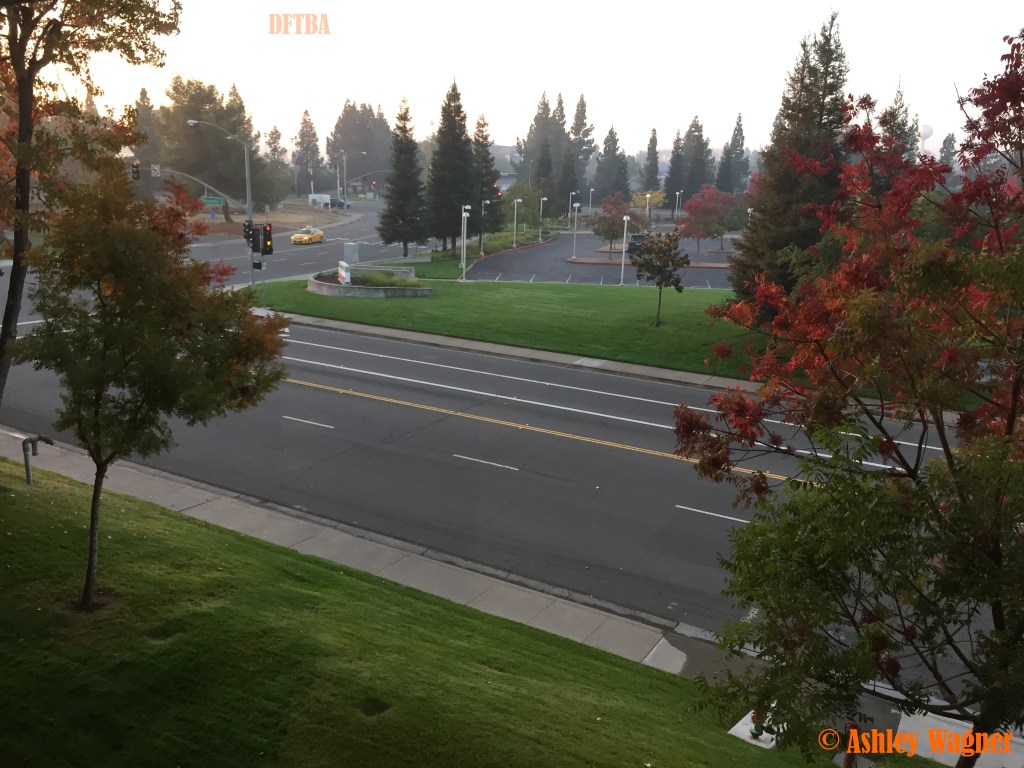 Photo Nov 07, 6 54 52 AM