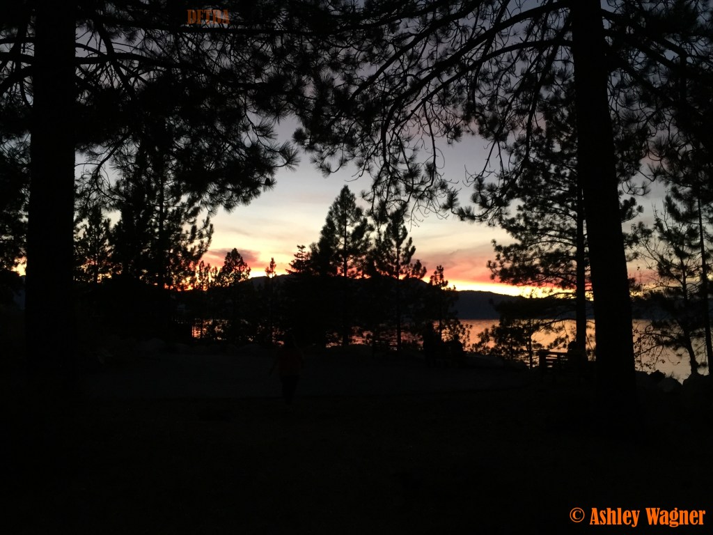 Photo Nov 08, 5 14 10 PM