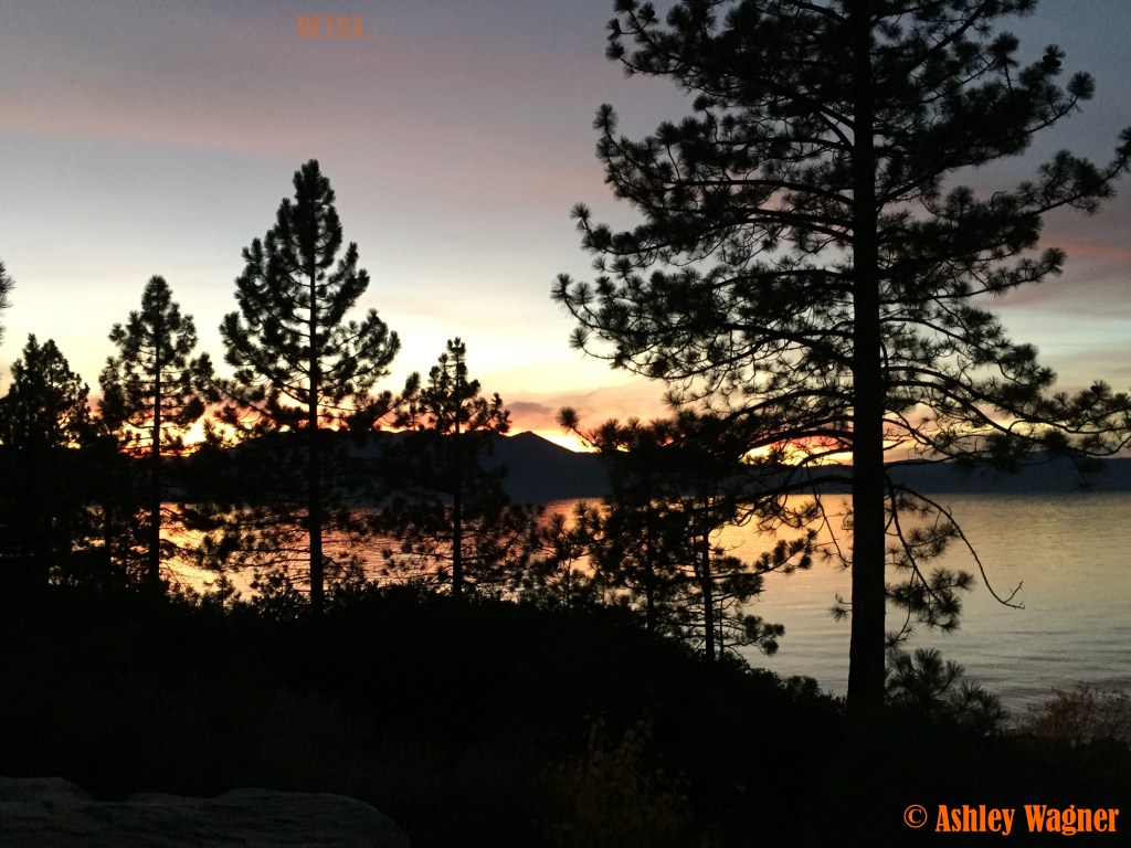 Photo Nov 08, 5 14 35 PM