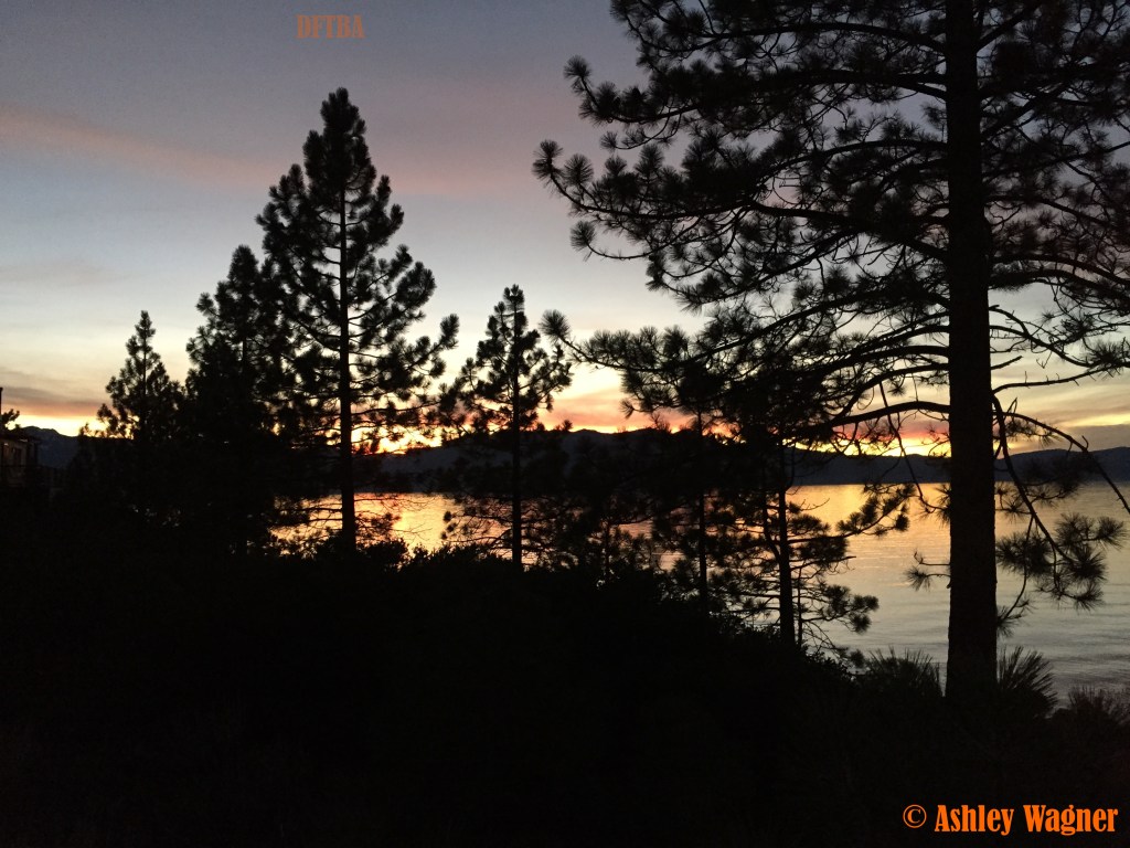 Photo Nov 08, 5 15 05 PM