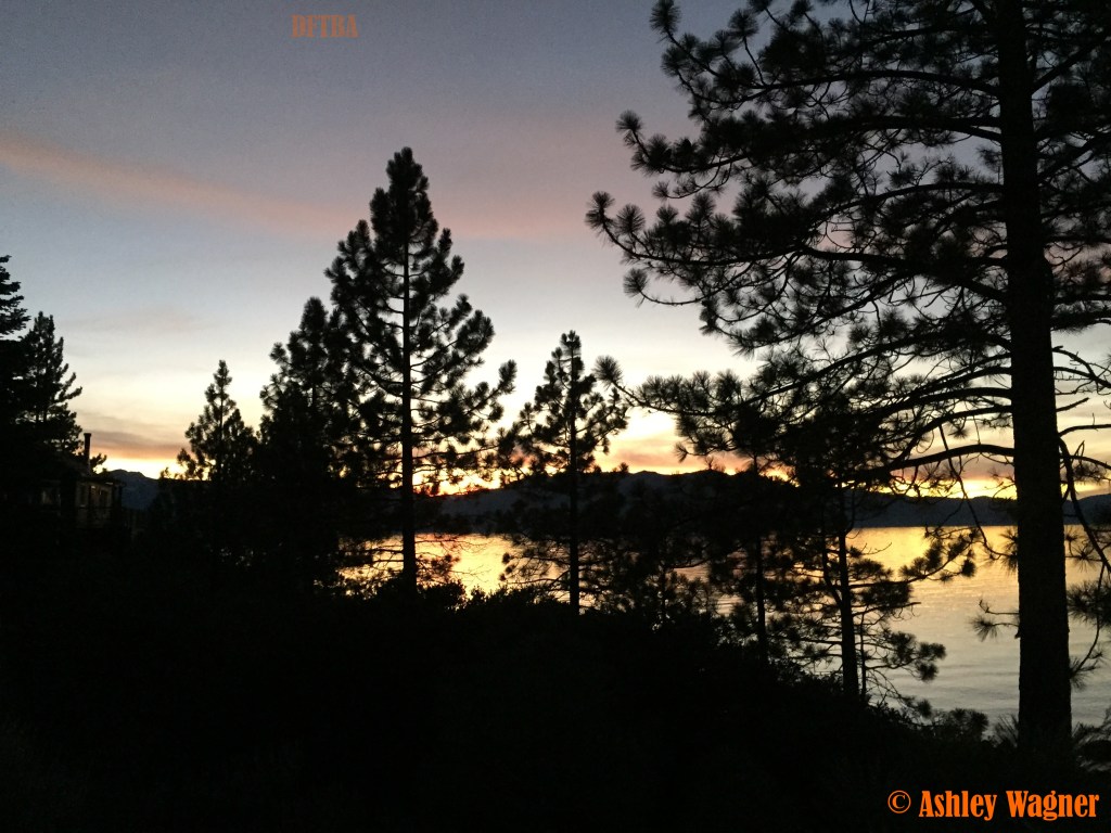 Photo Nov 08, 5 16 19 PM