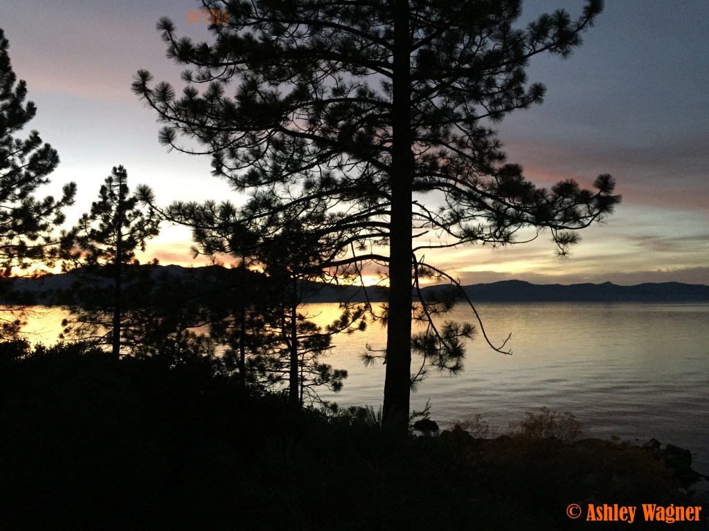 Photo Nov 08, 5 16 22 PM