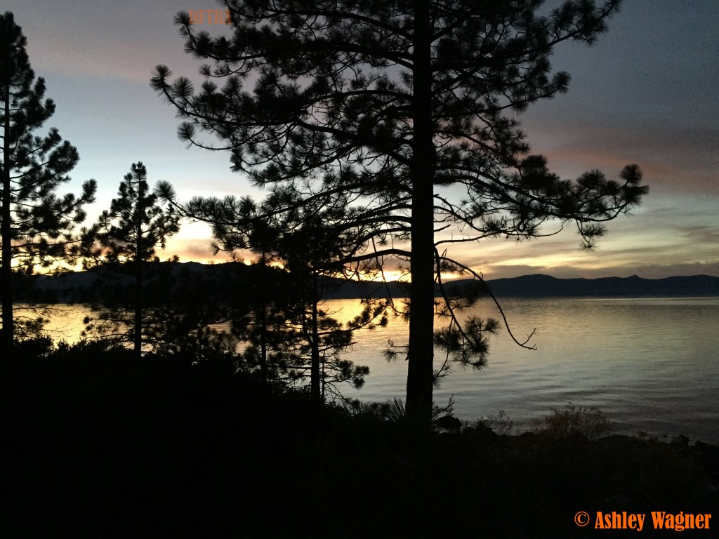 Photo Nov 08, 5 20 23 PM