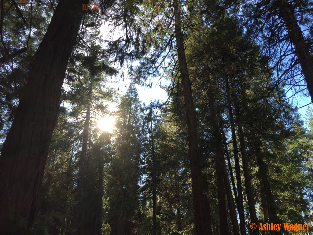 Photo Nov 09, 2 01 10 PM