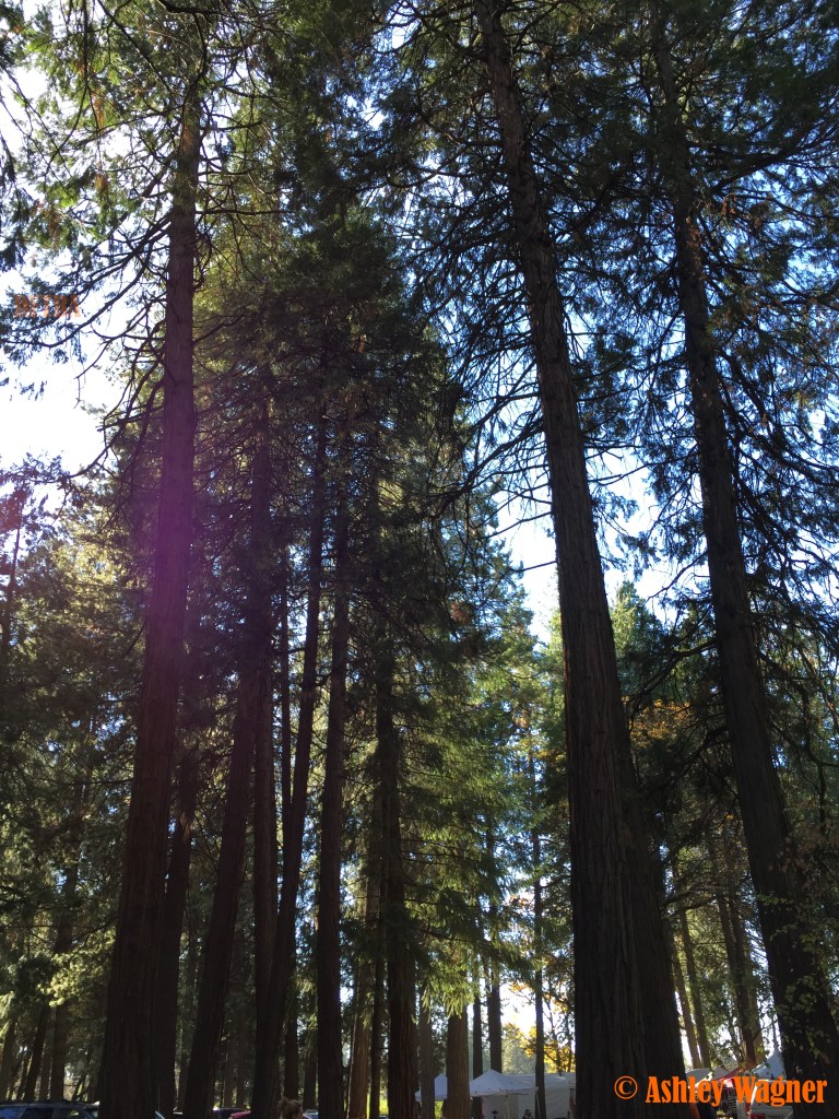 Photo Nov 09, 2 01 13 PM