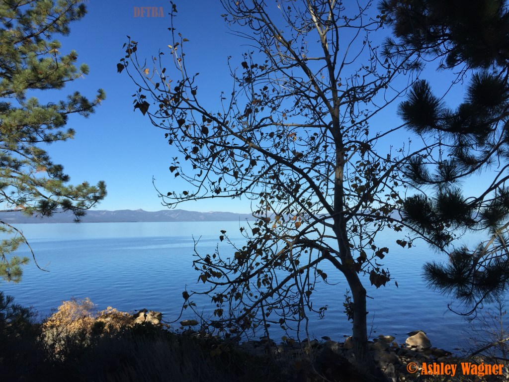 Photo Nov 09, 8 45 03 AM