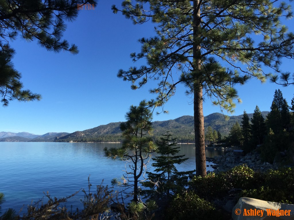 Photo Nov 09, 8 45 11 AM