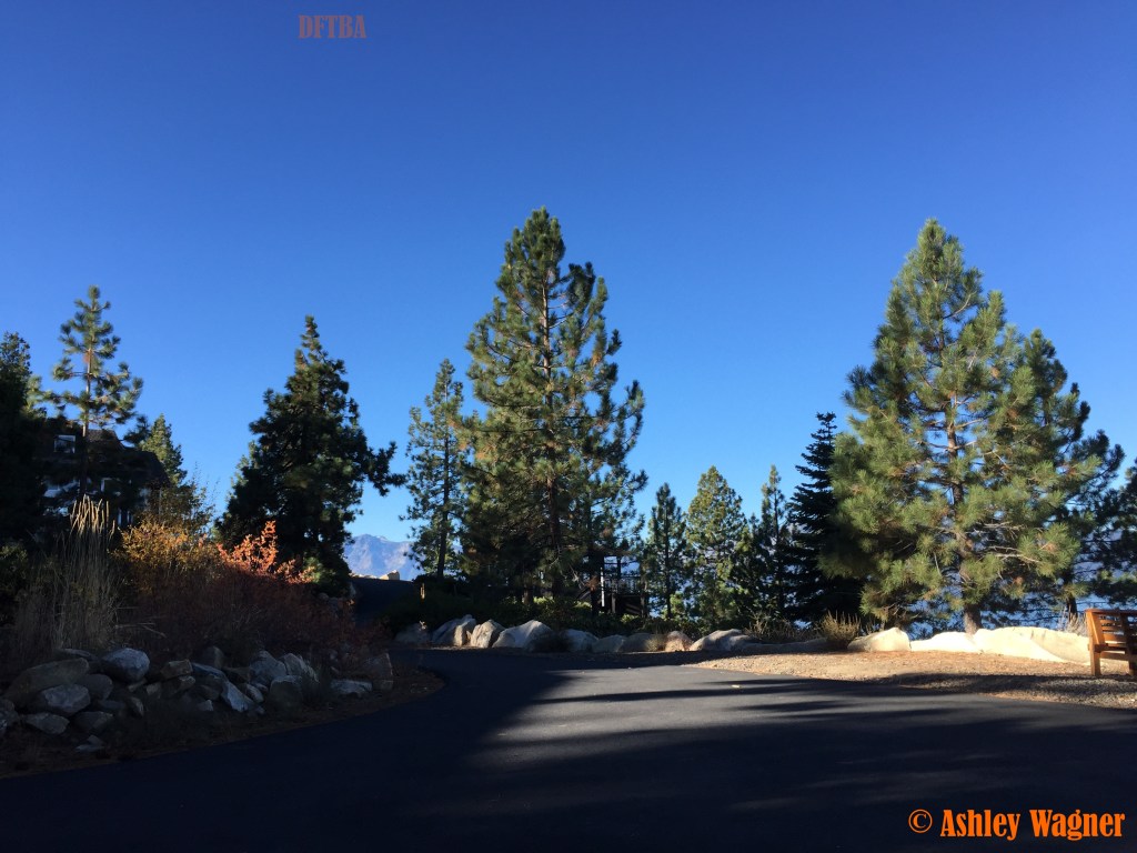 Photo Nov 09, 8 48 55 AM