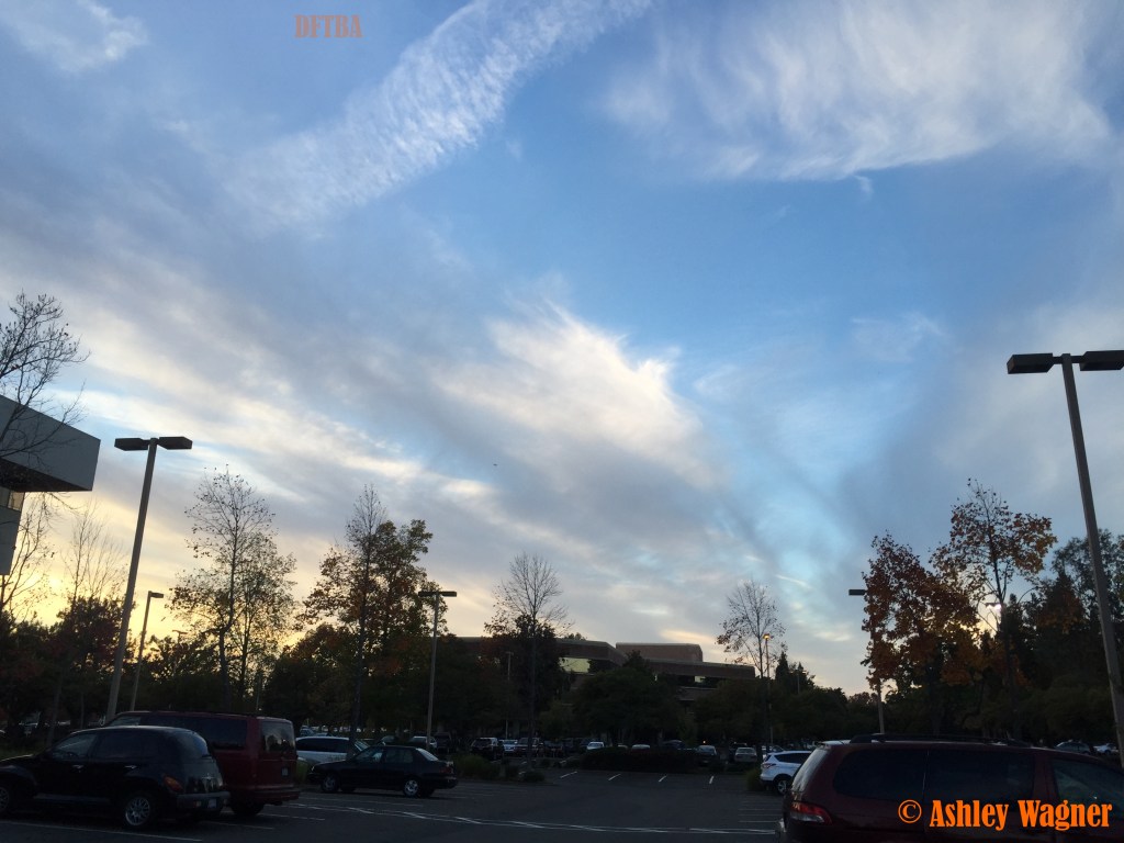 Photo Nov 14, 4 34 17 PM