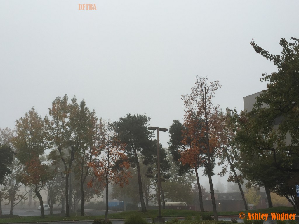 Photo Nov 14, 7 55 06 AM