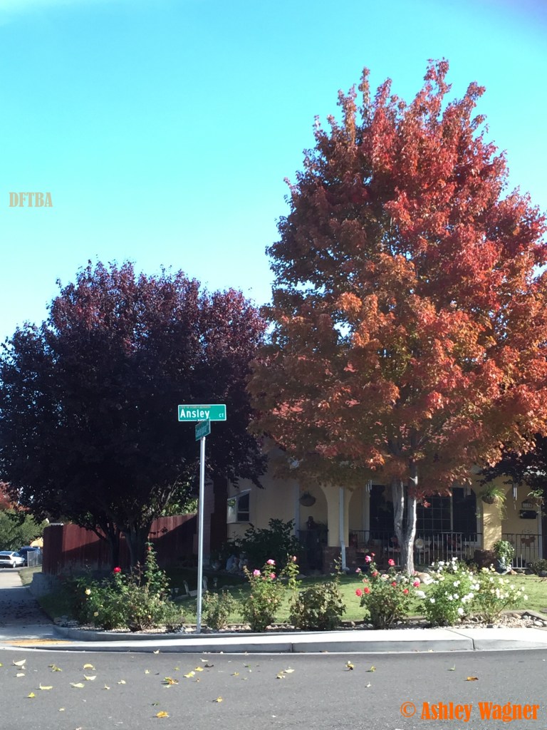 Photo Nov 15, 1 13 53 PM