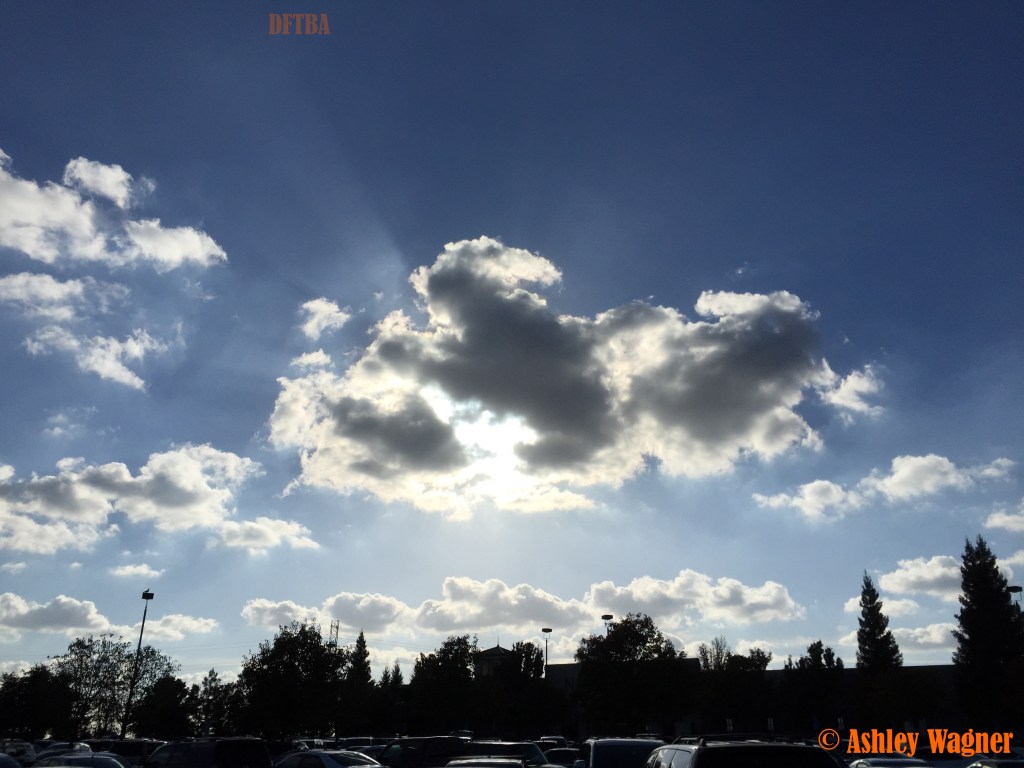 Photo Nov 15, 2 37 39 PM